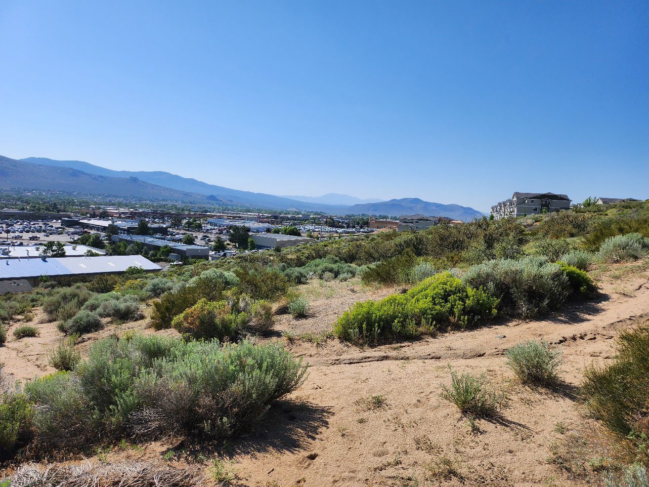 A view of some bushes and mountains from the top of a hill.